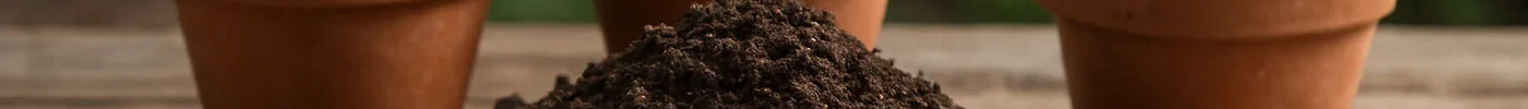 Best Soil for Herb Garden: Creating Perfect Growing Medium