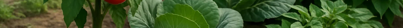 Companion Planting Benefits: Maximize Garden Productivity