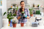 Organic Kitchen Garden