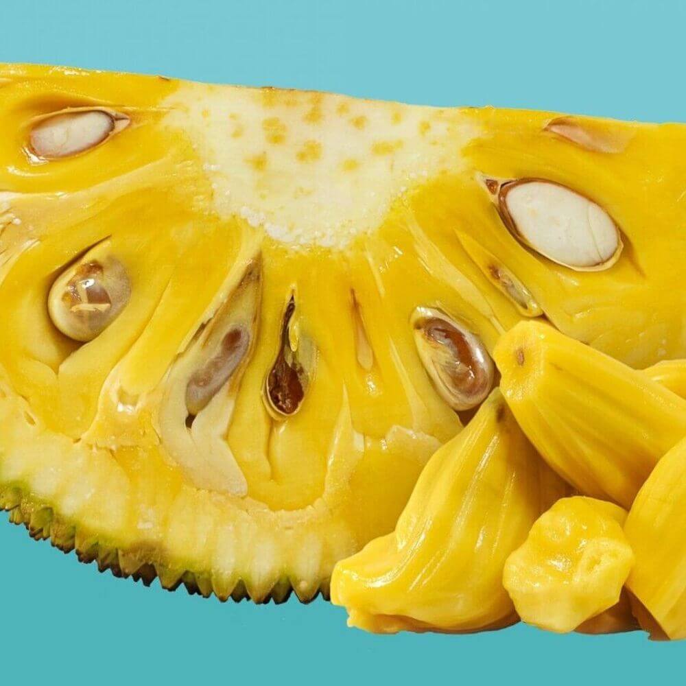 15 Organic Jackfruit Seeds