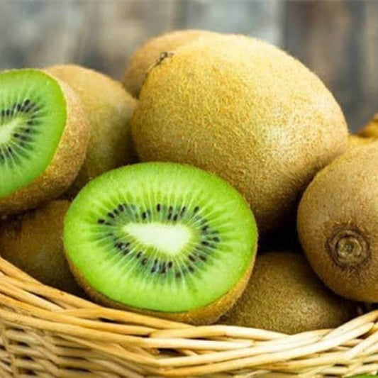 15 Hayward Kiwi Vine Seeds - Seed World