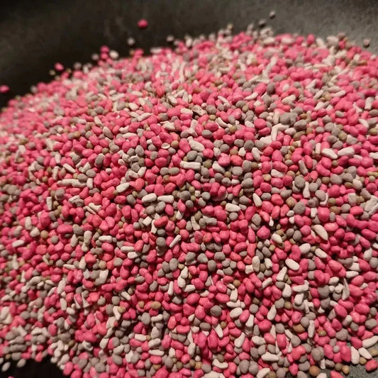 2 lbs Wildlife Food Plot Seed Mix β Chicory, Alfalfa & Clover, No-Till - Seed World