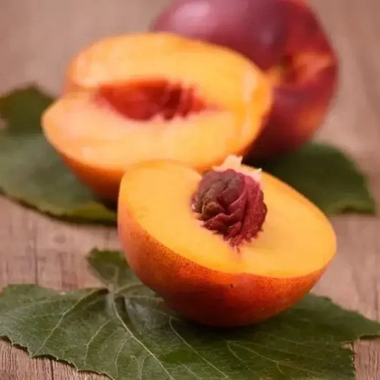 2 Organic Yellow Nectarine Seeds - Seed World