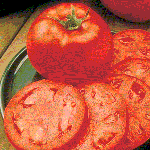 30 Giant Tomato Seeds | NON-GMO