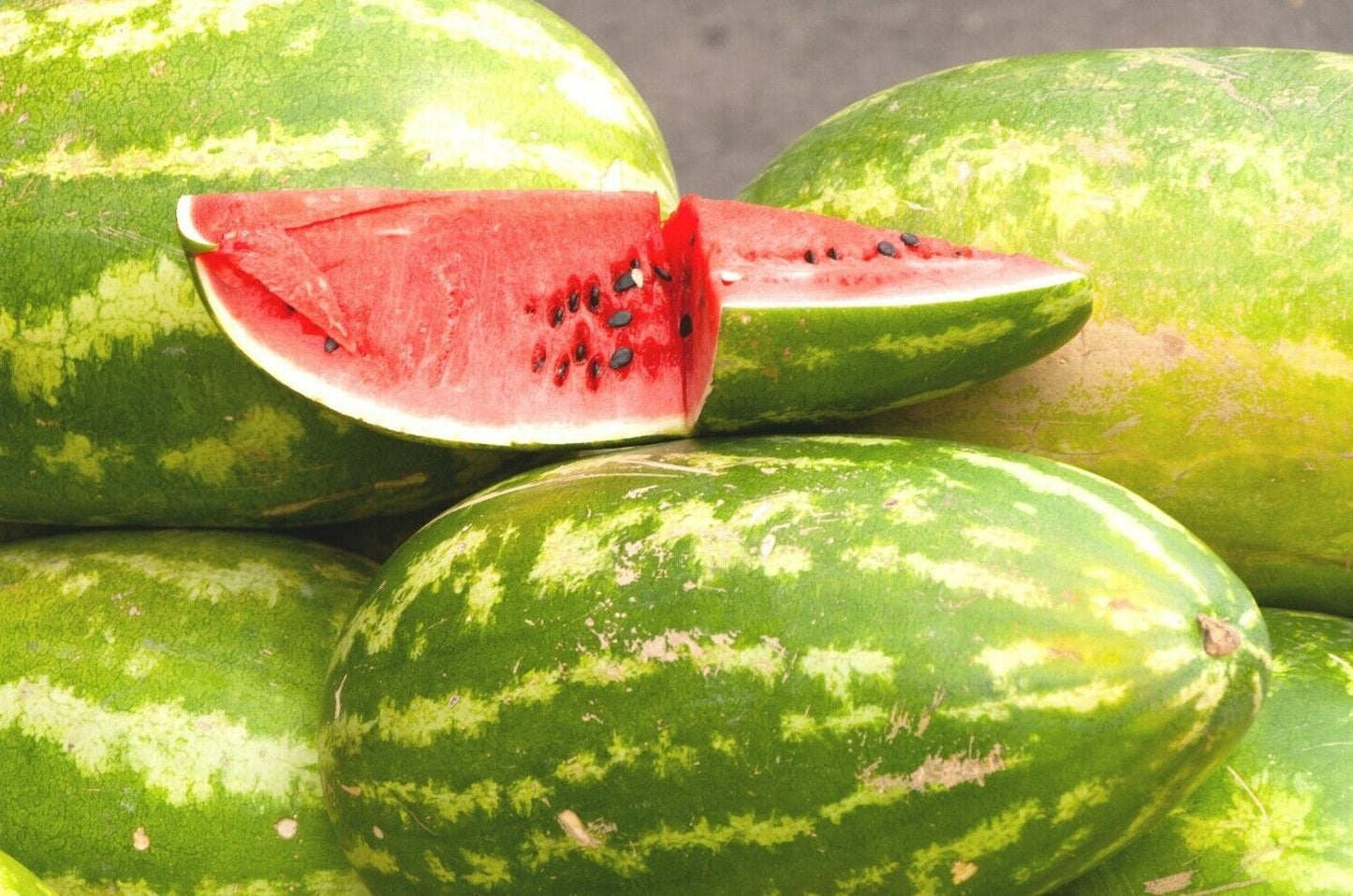 25 All Sweet Watermelon Seeds