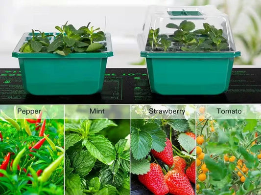 72 Cell Seed Starter Propagation Kit Tray