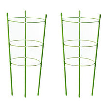 Climbing Plant Support Cages