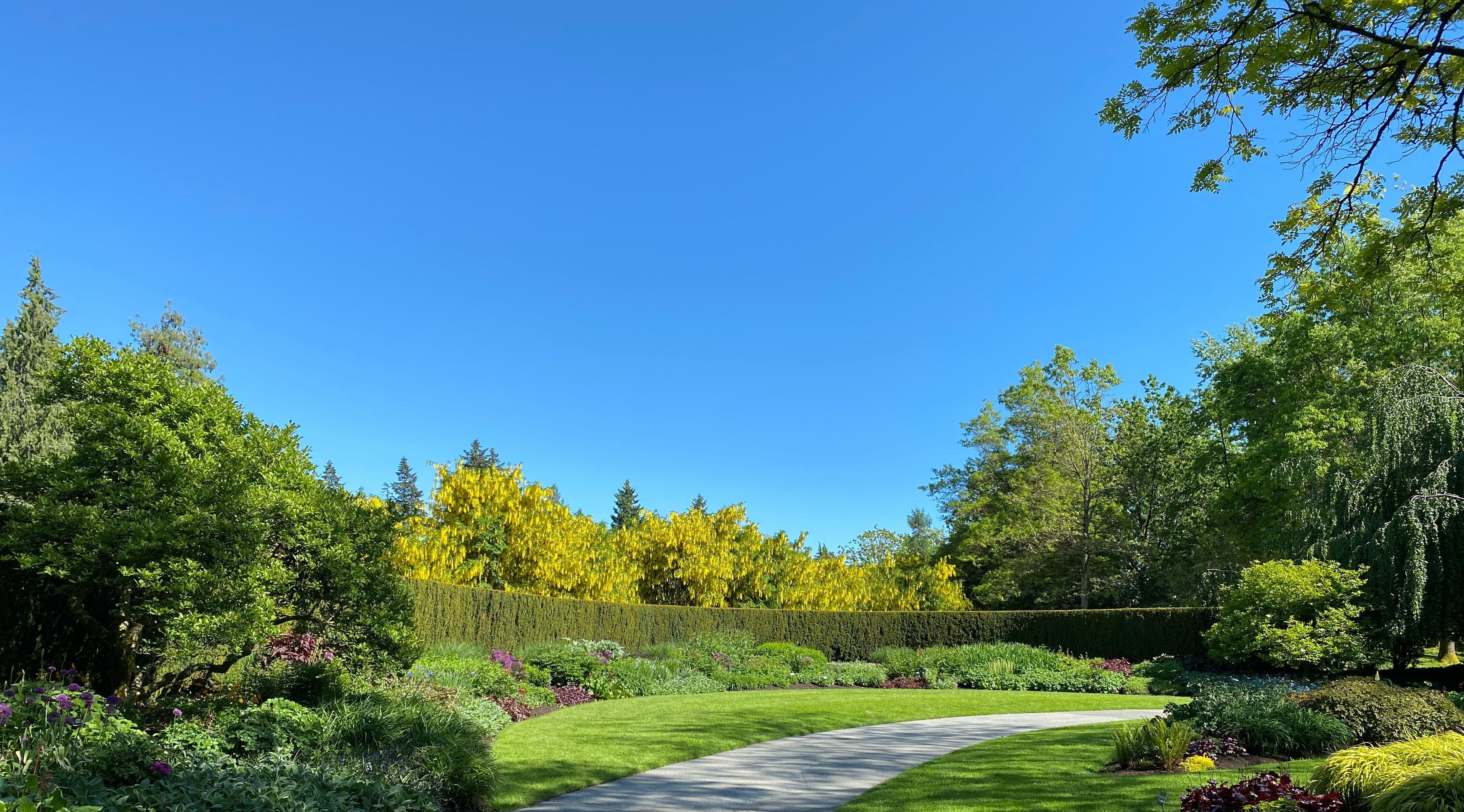 garden path surrounded by vibrant flower beds, lush green grass, and tall trees under a clear blue summer sky