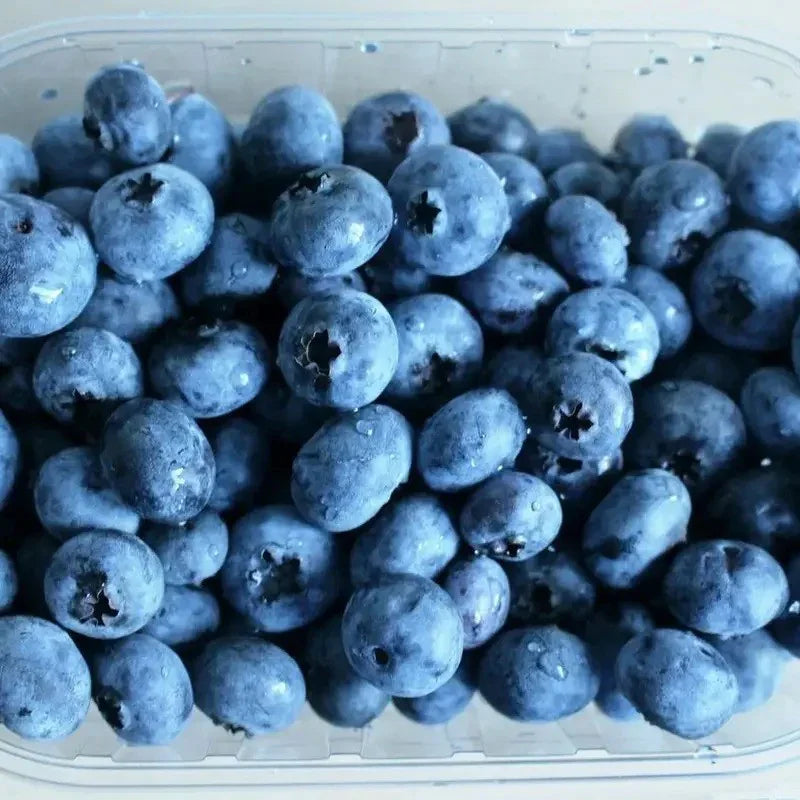Container filled with blueberries