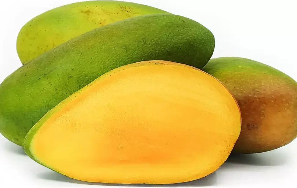 2 Kiojay Mango - Mangifera Indica Seeds