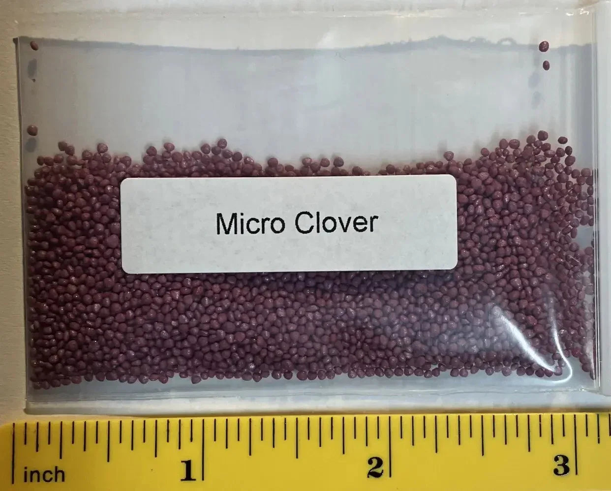 Micro Clover Seeds – Trifolium repens