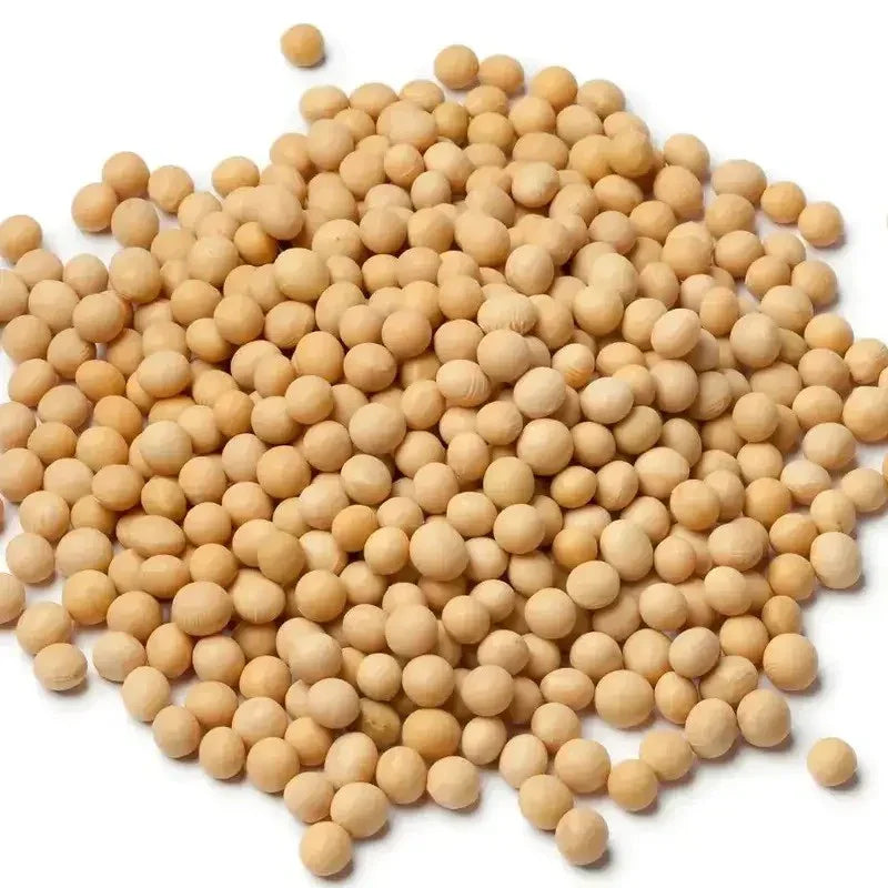Pile of soybeans on a white background