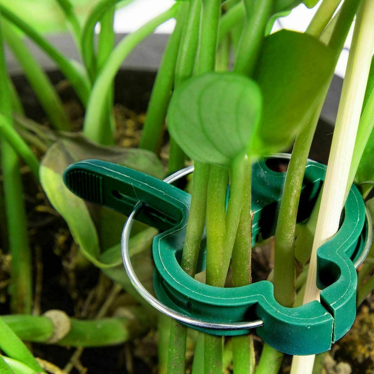 50pcs Large Plant and Garden Support Clips