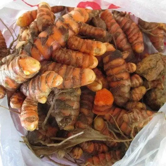 Turmeric roots in a white plastic bag