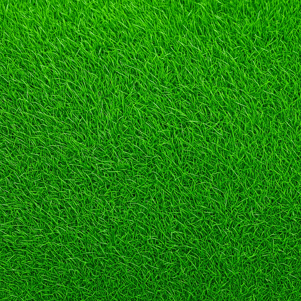 Close-up of Empire Zoysia grass lawn surface
