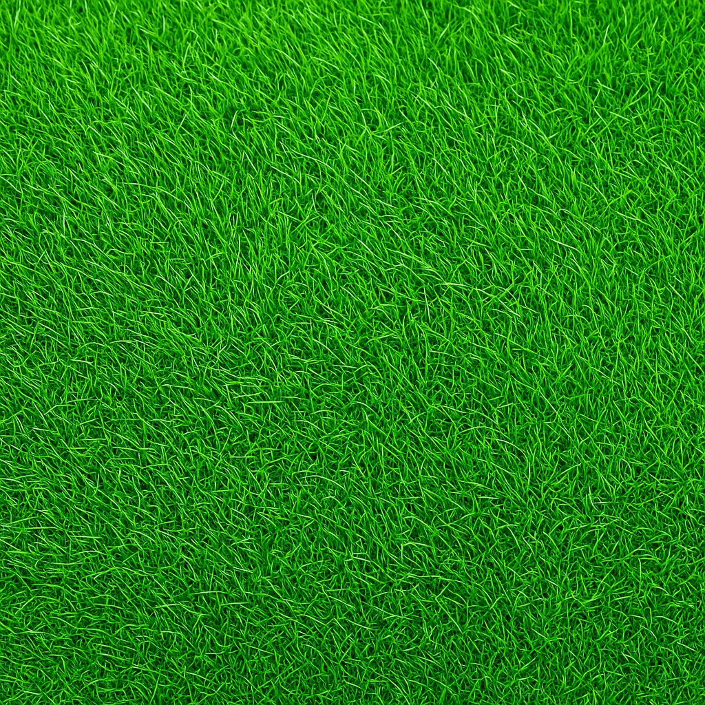 Close-up of Empire Zoysia grass lawn surface