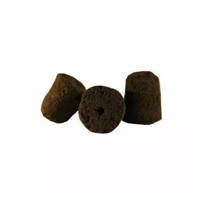 10 General Hydroponics Rapid Rooter Plugs