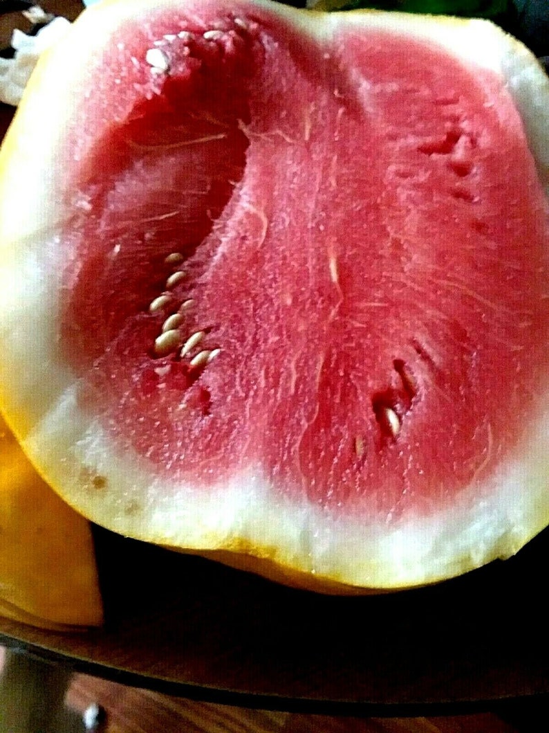 10 Royal Golden Skin Watermelon Seeds