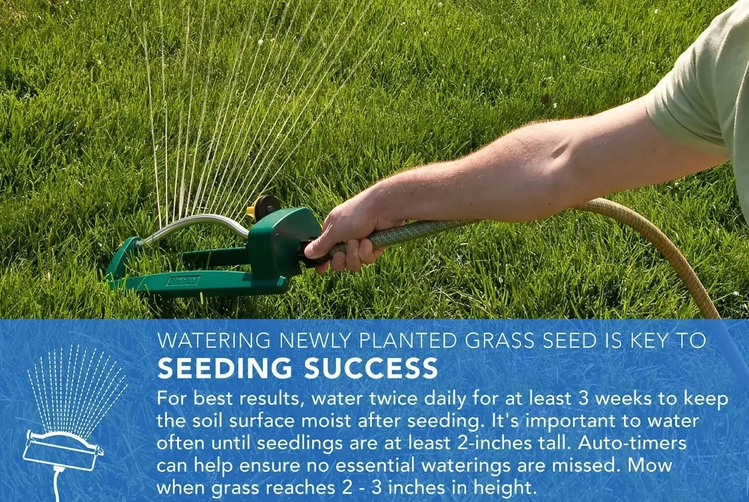 Patch Master Lawn Repair Mix Sun & Shade - Seed World