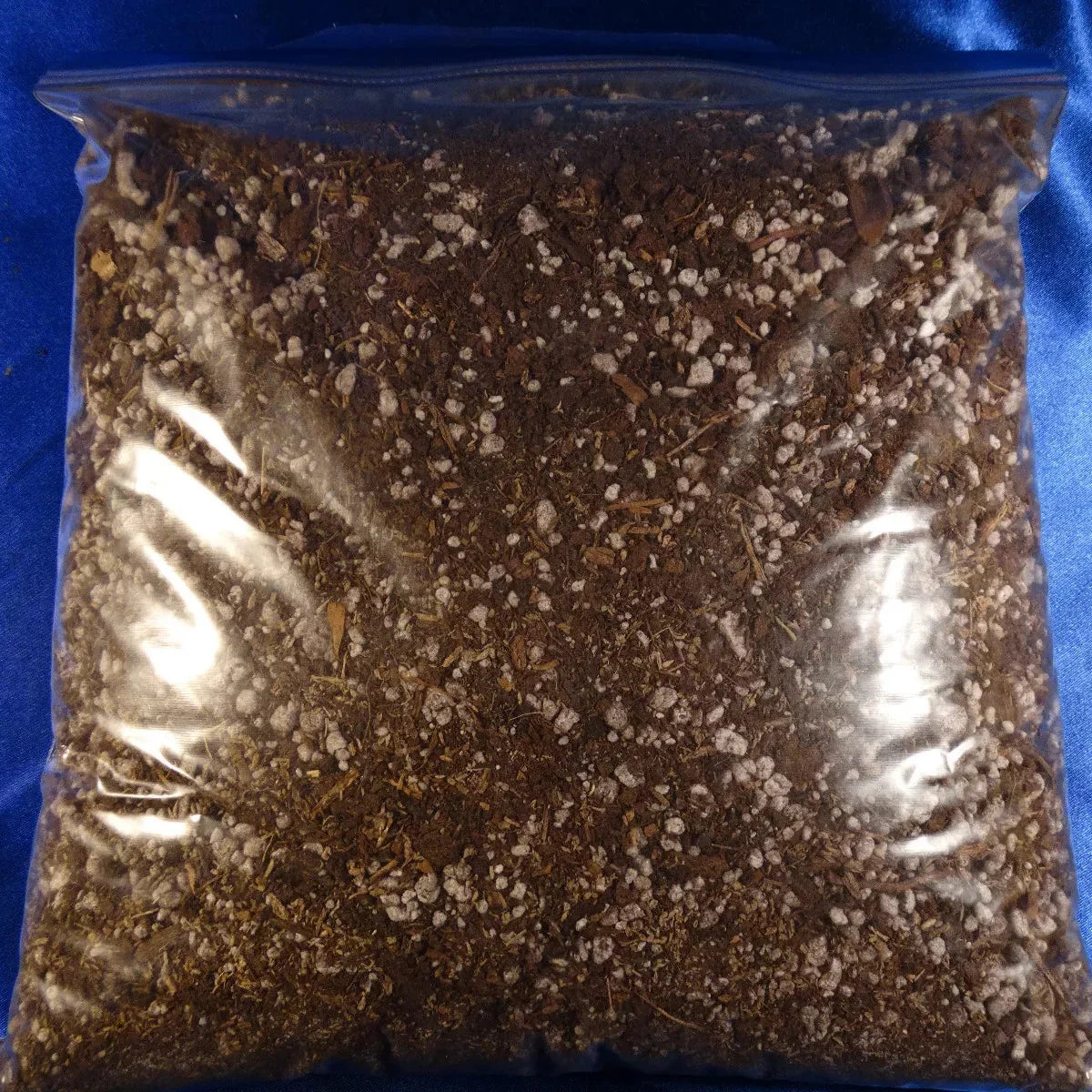 Special Mix Power Grow Carnivorous Plant Soil (3 Cups) - Seed World