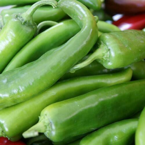 100 Anaheim Chili Pepper Seeds | Non-GMO - Seed World