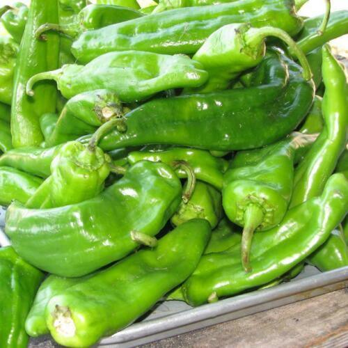 100 Anaheim Chili Pepper Seeds | Non-GMO - Seed World