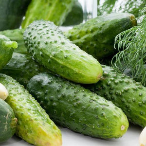 100 Boston Pickling Cucumber Seeds | NON-GMO | Heirloom - Seed World