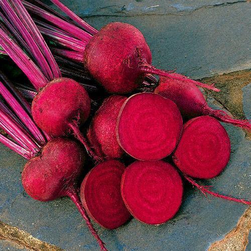100 Red Ace Hybrid Beet Seeds - Seed World