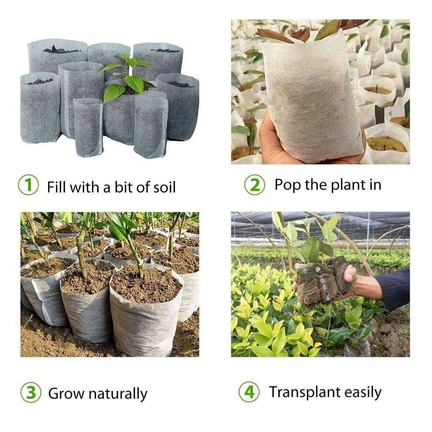 100/200 Biodegradable Non-Woven Plant Grow Bags - Seed World