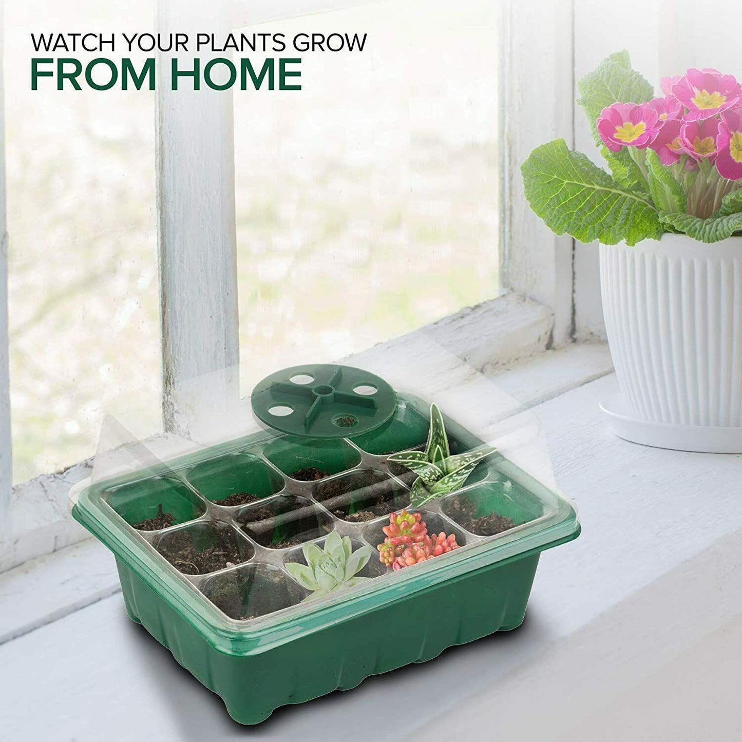12 Cell Seed Tray - Green - Seed World