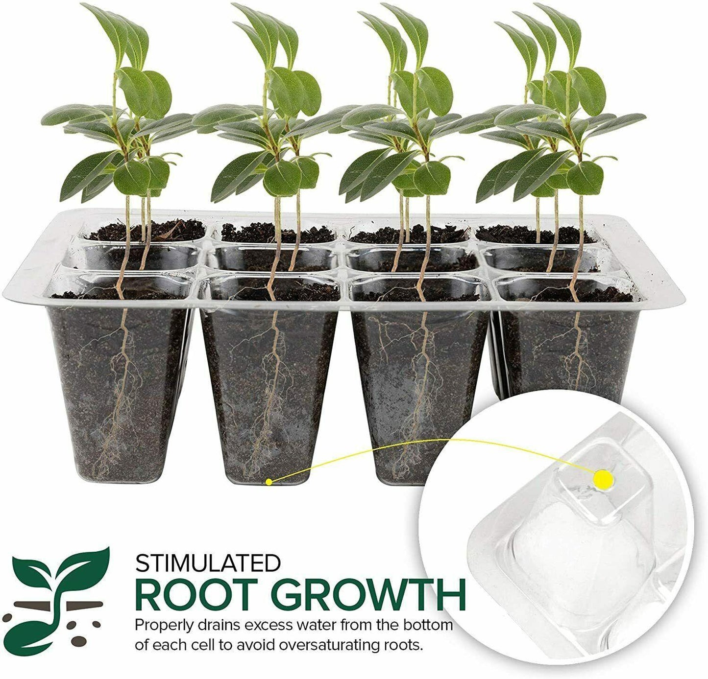 12 Cell Seed Tray - Green - Seed World