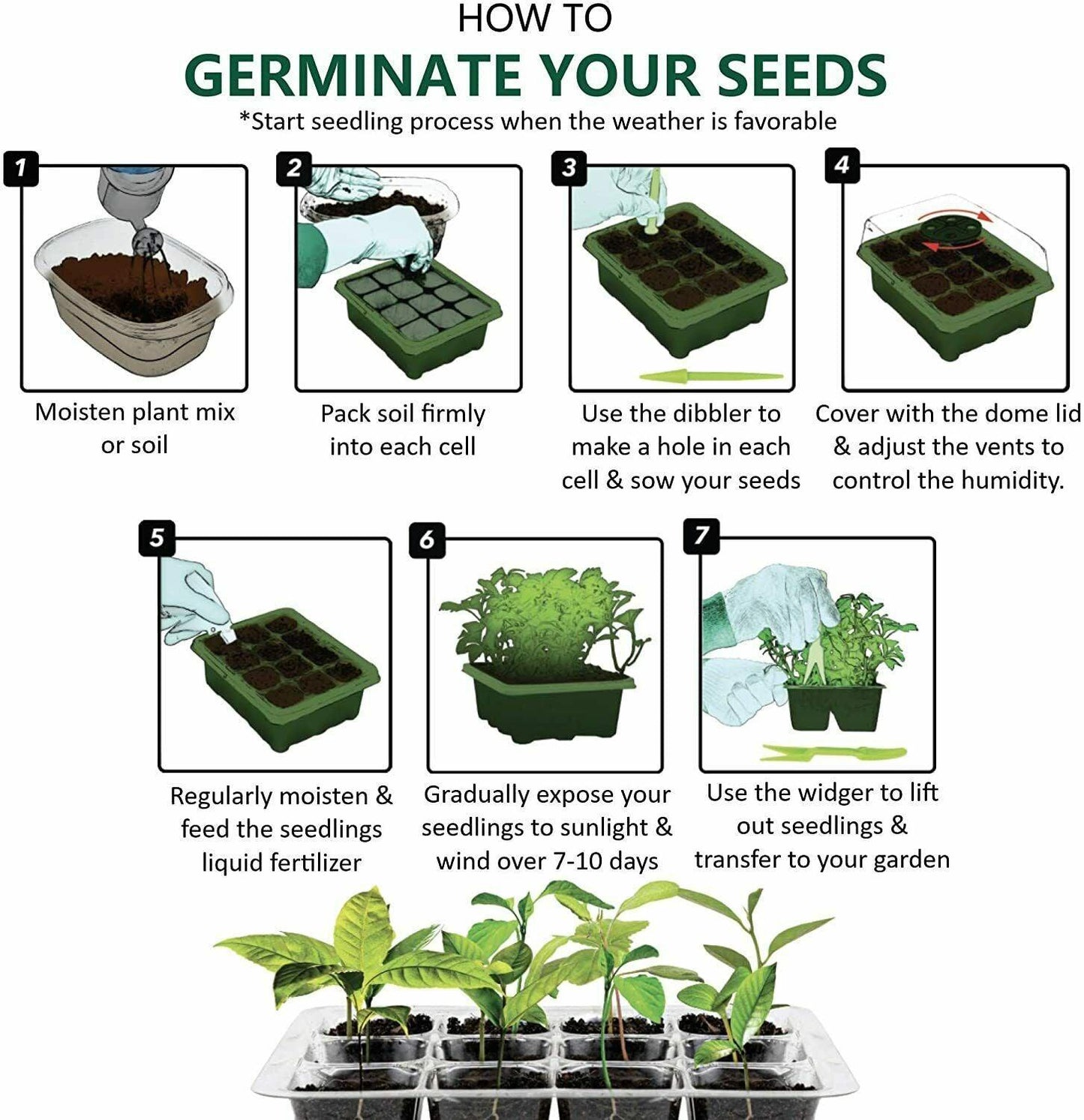 12 Cell Seed Tray - Green - Seed World