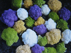 150 Rainbow Blend Cauliflower Mix Seeds - Seed World