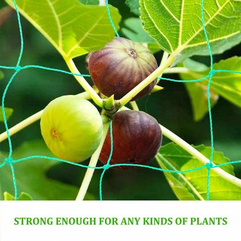 2 Pack Garden Plant Climbing Net Trellis Netting Mesh Support Fruits Vine Veggie - Seed World
