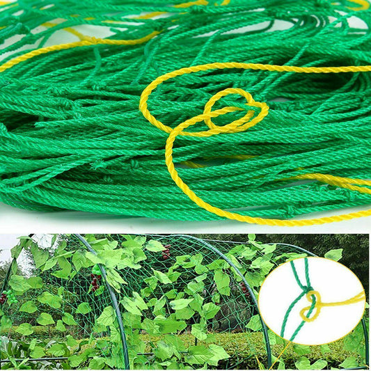 2 Pack Garden Plant Climbing Net Trellis Netting Mesh Support Fruits Vine Veggie - Seed World