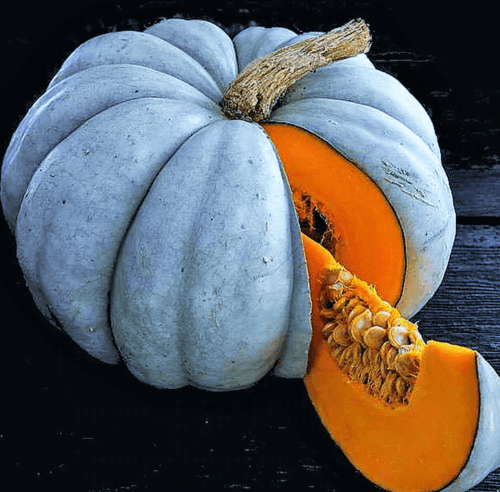 20 Jarrahdale Blue Pumpkin Seeds - Seed World