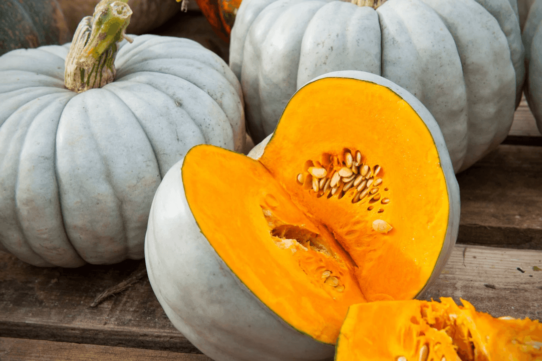 20 Jarrahdale Blue Pumpkin Seeds - Seed World