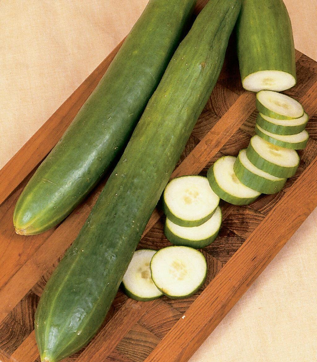 20 Organic Japanese Tokiwa Tokyo Cucumber Seeds - Seed World
