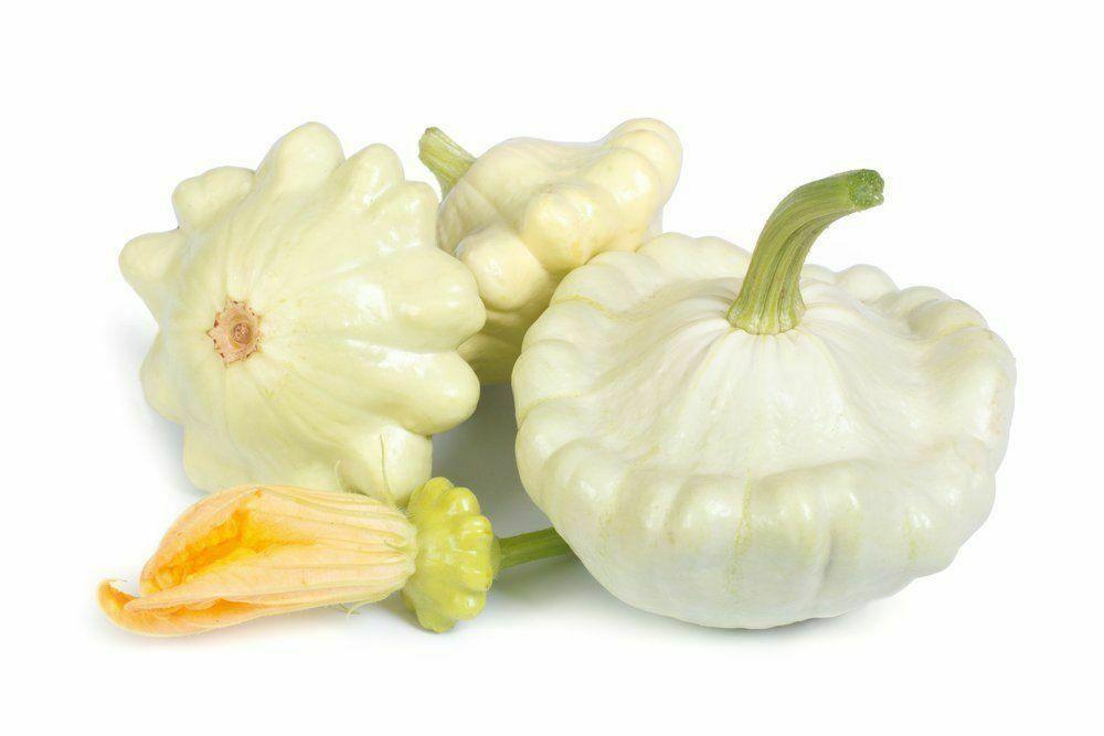 20 Scallopini Squash Patty Pan Zucchini Seeds - Seed World
