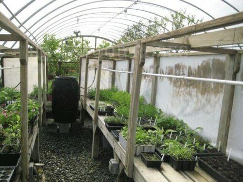 21 Variety Emergency Survival Organic Vegetable Seeds - Seed World