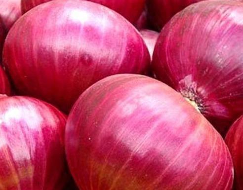 250 Red Creole Onion Seeds - Seed World