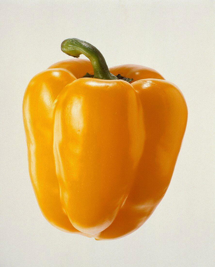 30 Mixed Bell Pepper Seeds - Seed World