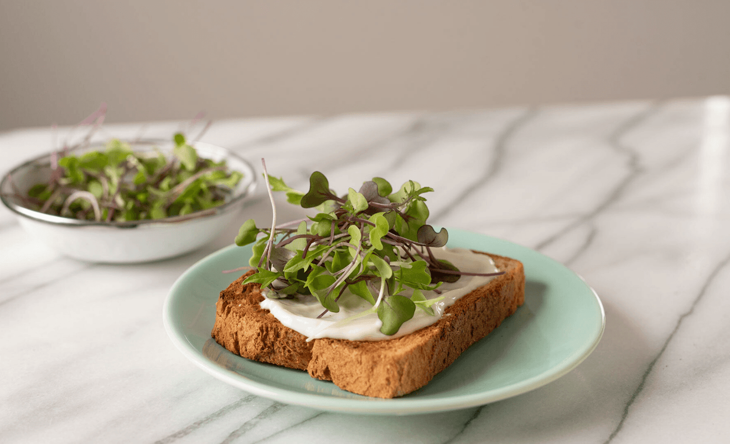 3800 Organic Broccoli Sprout Microgreens Seeds (10grams) - Seed World