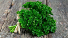 Garden Mix Cilantro - Parsley - Chives - Basil Seeds - Seed World