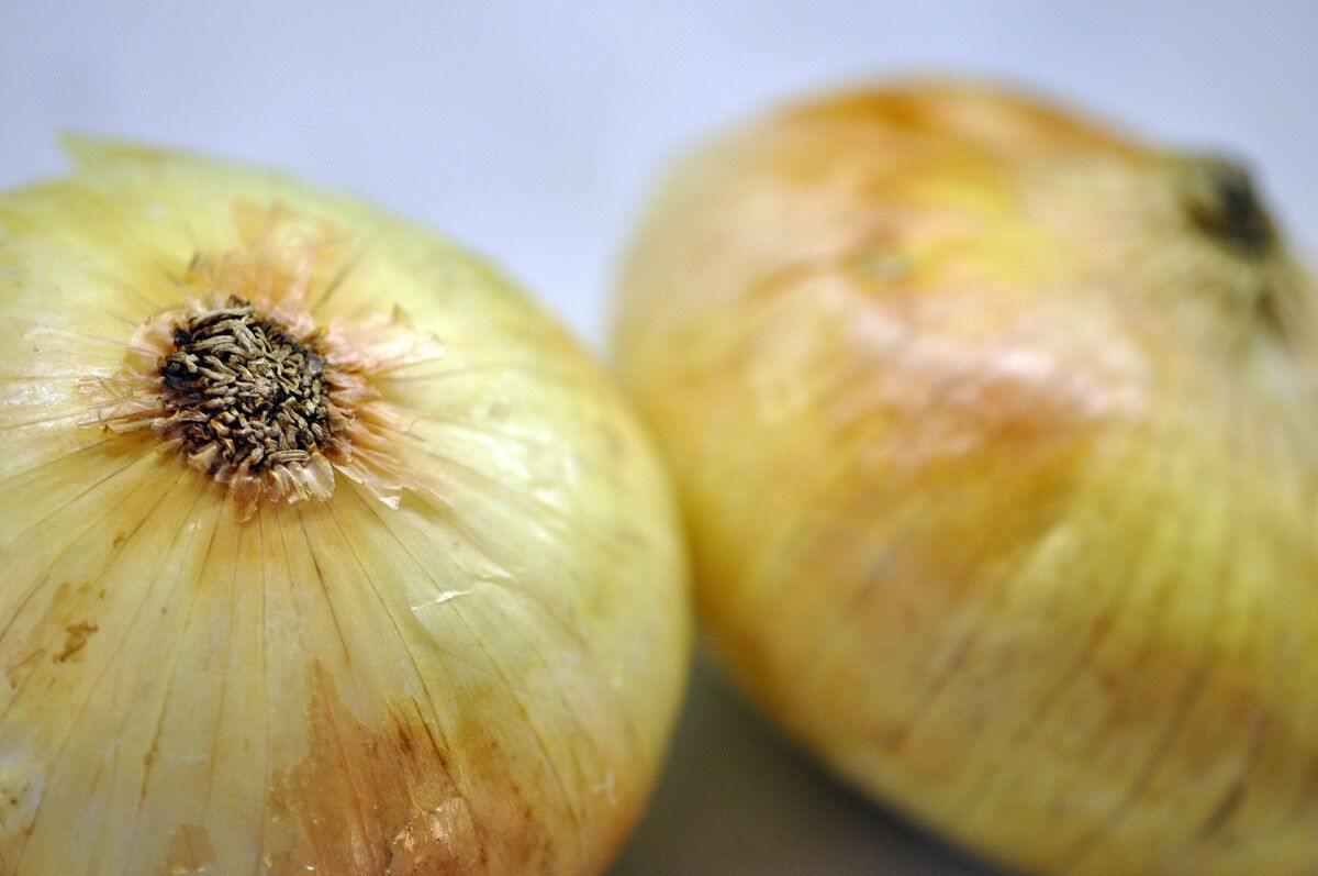 400 Vidalia Sweet Onion Seeds - Seed World