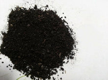 5 LBS The Best Organic Worm Castings Odorless Soil Enhancer for All Plants - Seed World