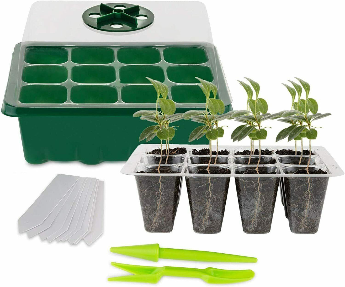 5-Pack Seed Germination Starter Trays with Humidity Domes - Seed World