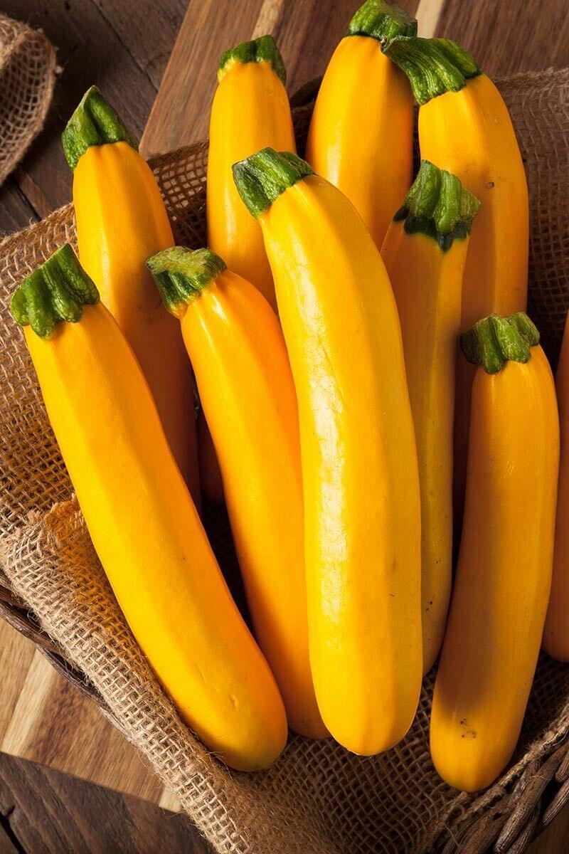 5 Species Mix Summer Squash Seeds - Seed World