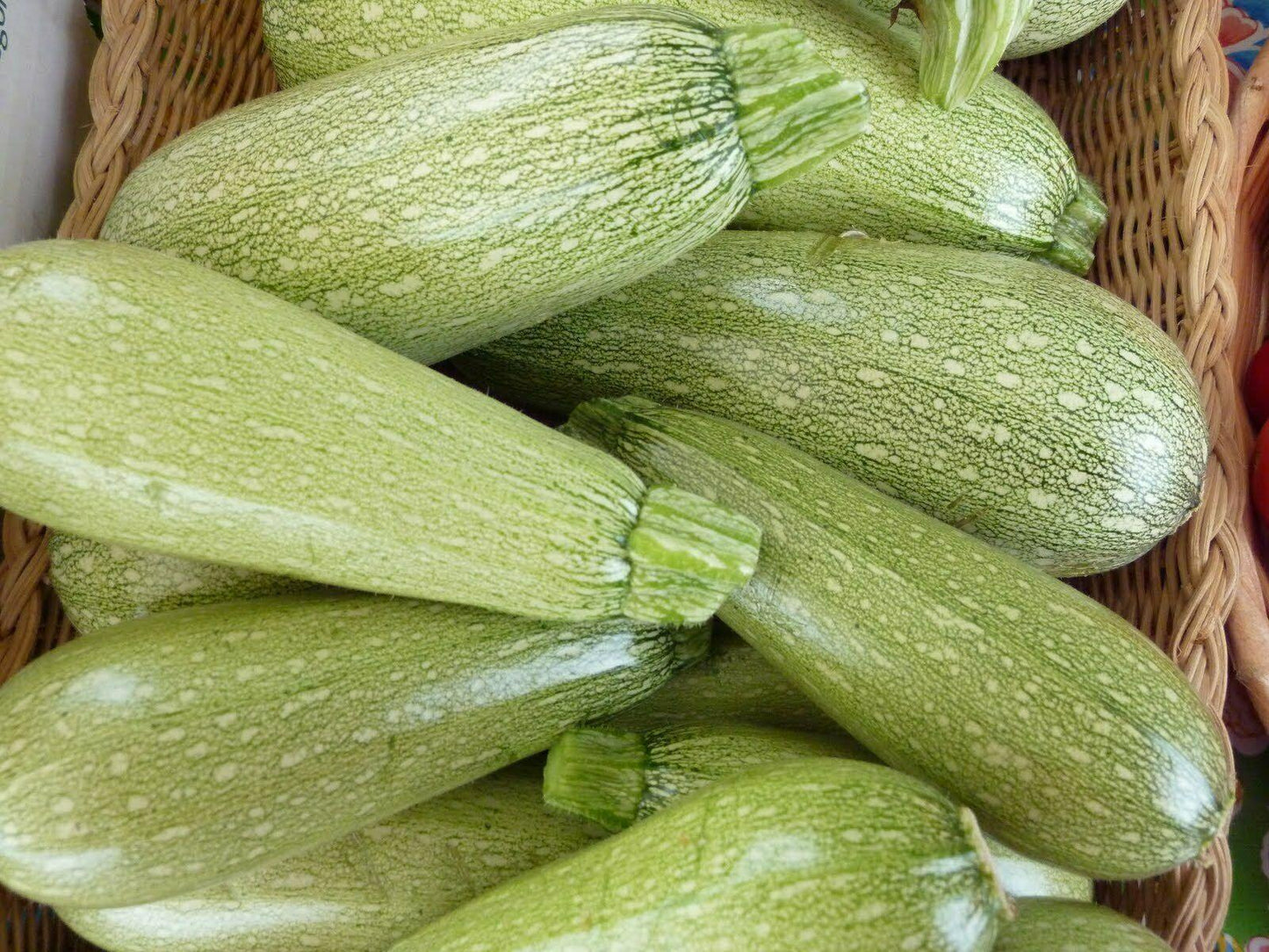 5 Species Mix Summer Squash Seeds - Seed World