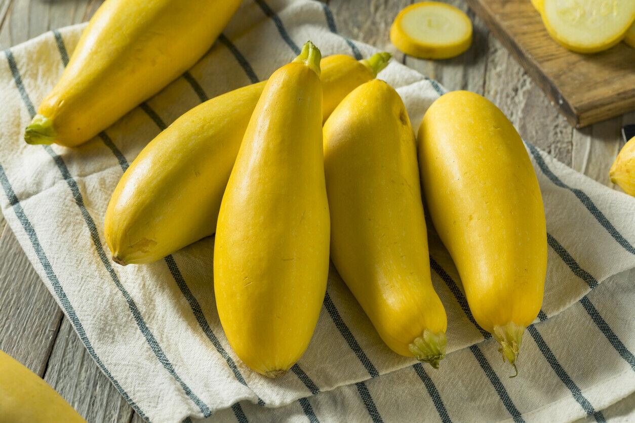 5 Species Mix Summer Squash Seeds - Seed World